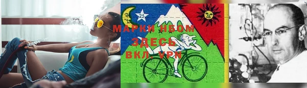 спиды Армянск