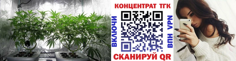ТГК Wax Нязепетровск